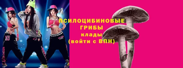 дживик Алексеевка