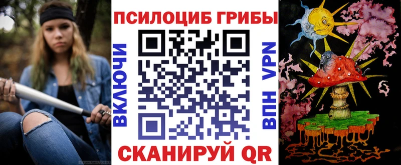 купить сайты Усть-Джегута Псилоцибиновые грибы MAGIC MUSHROOMS